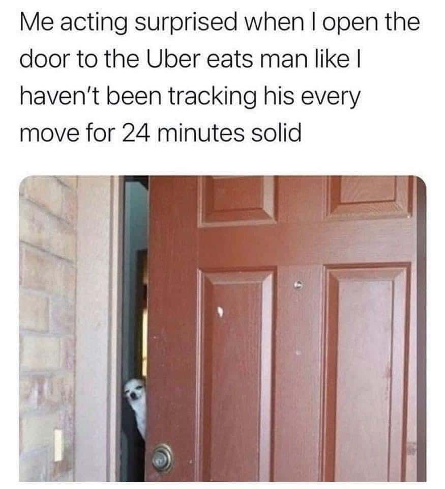 Suspicious chihuahua meme fake surprise for tracked food delivery driver