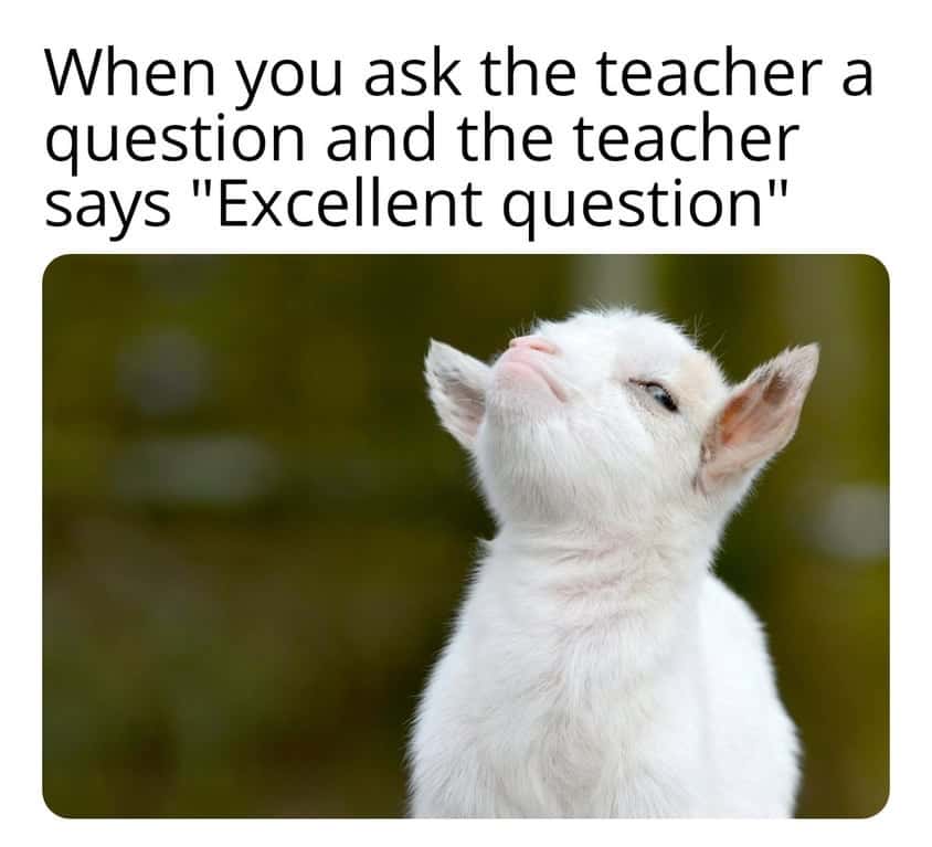 Suspicious sheep meme proud vibe after teacher praises your question