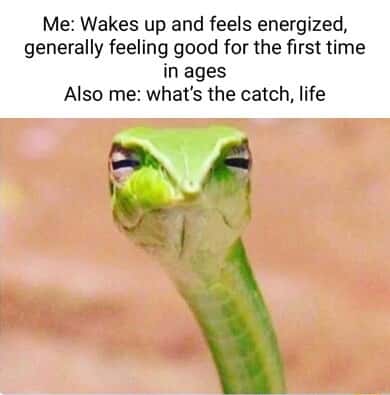 Suspicious snek meme doubting good mood fearing hidden bad luck
