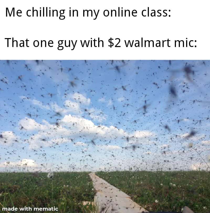 Swarm of bugs meme ruining online class with 2$ walmart mic