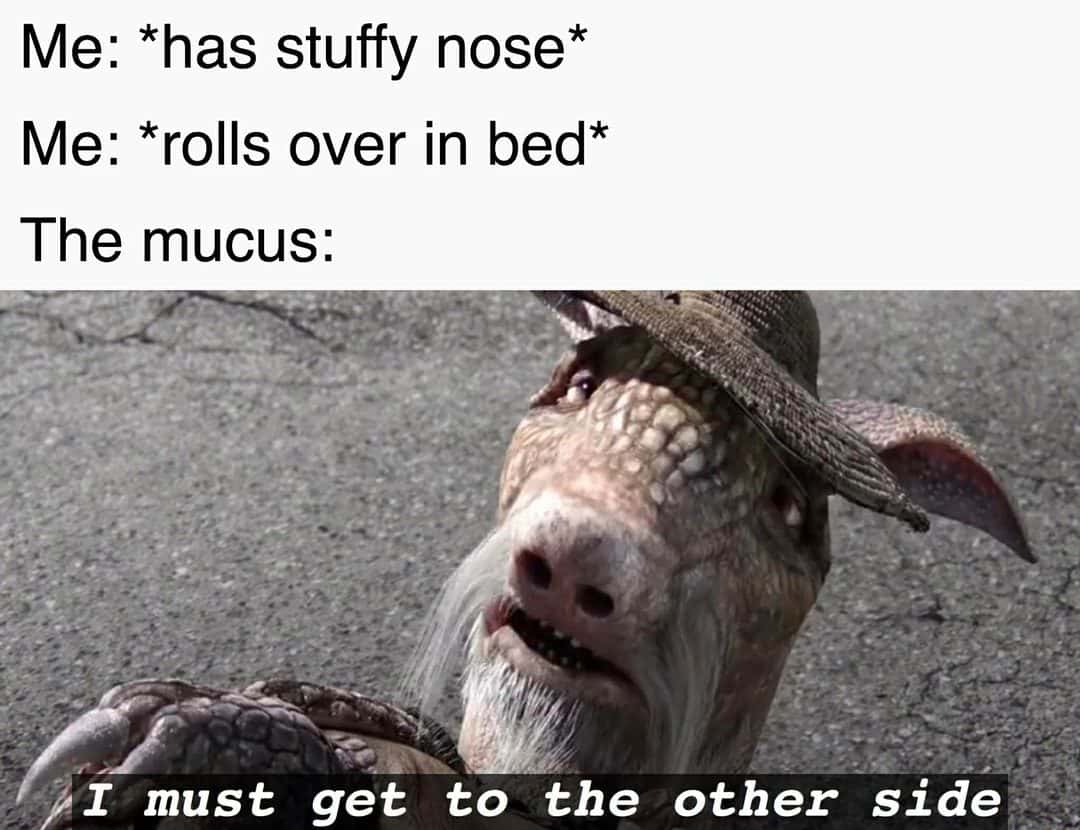 Mucus meme switches sides when you roll over