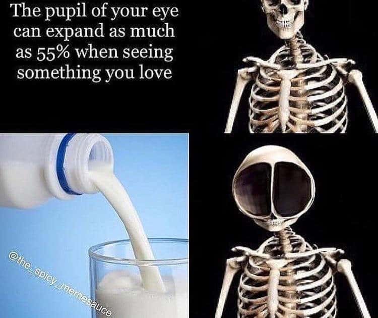 Skeleton meme pupils expand 55% when seeing beloved milk