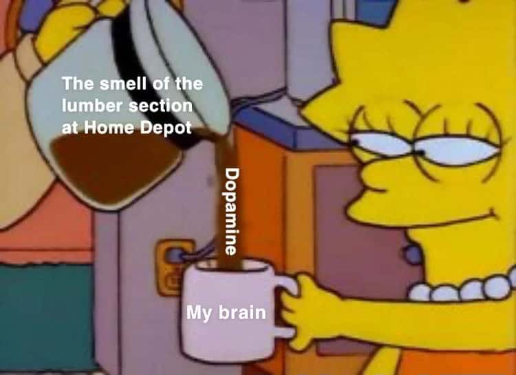 Lisa simpson meme getting dopamine from home depot lumber section smell