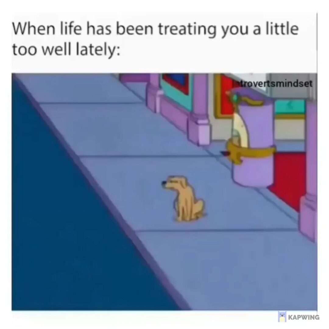 Cartoon dog meme sitting dazed when life treats you well