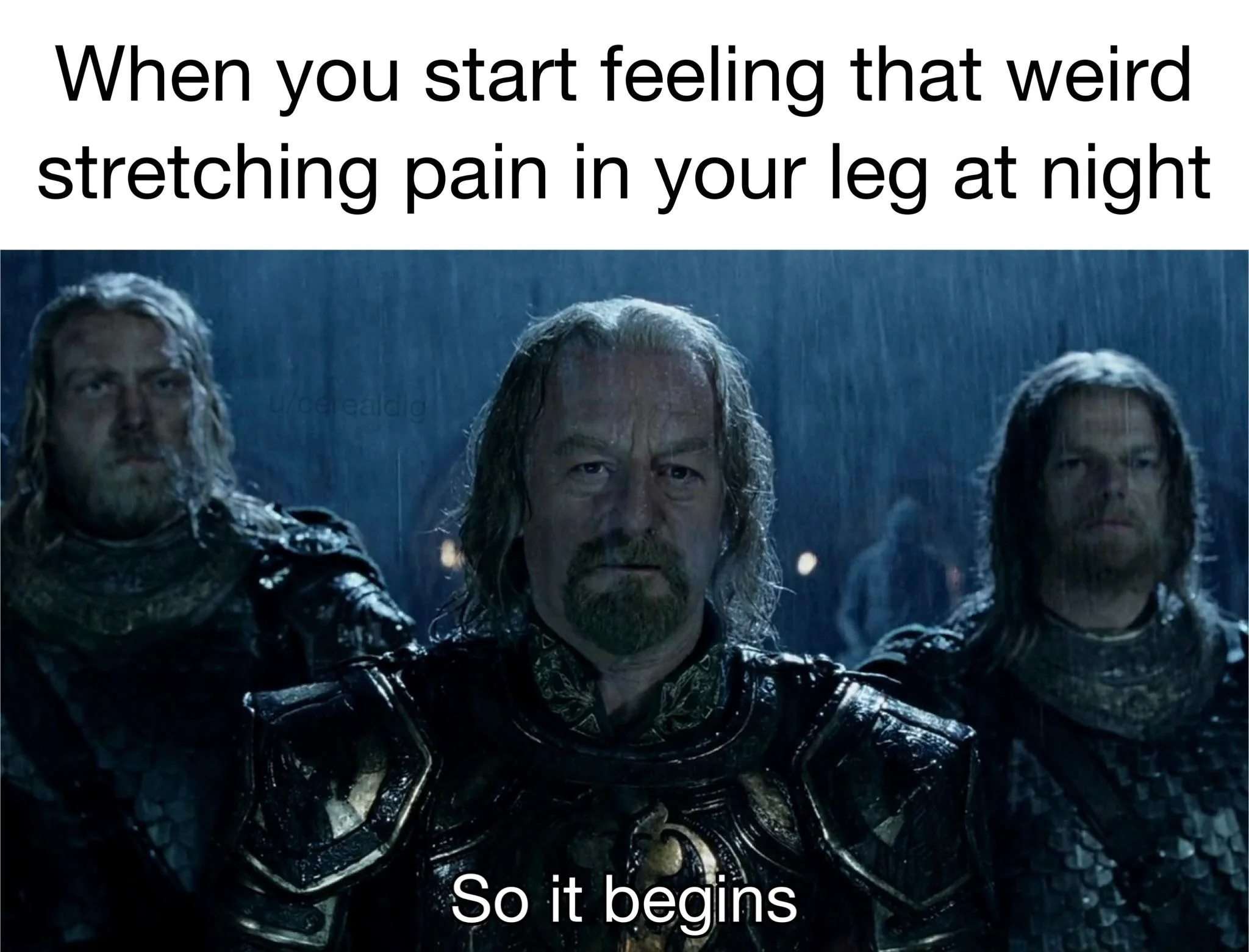 Theoden meme says so it begins when you feel weird leg stretching pain at night