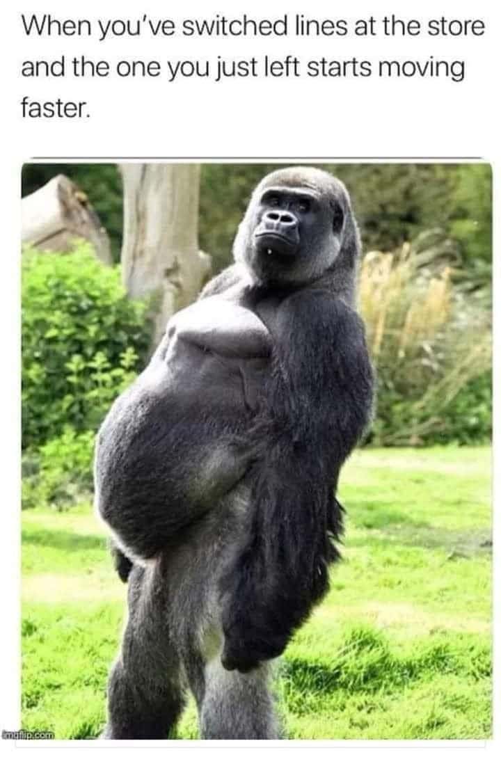Gorilla meme switched store line then old line moves faster