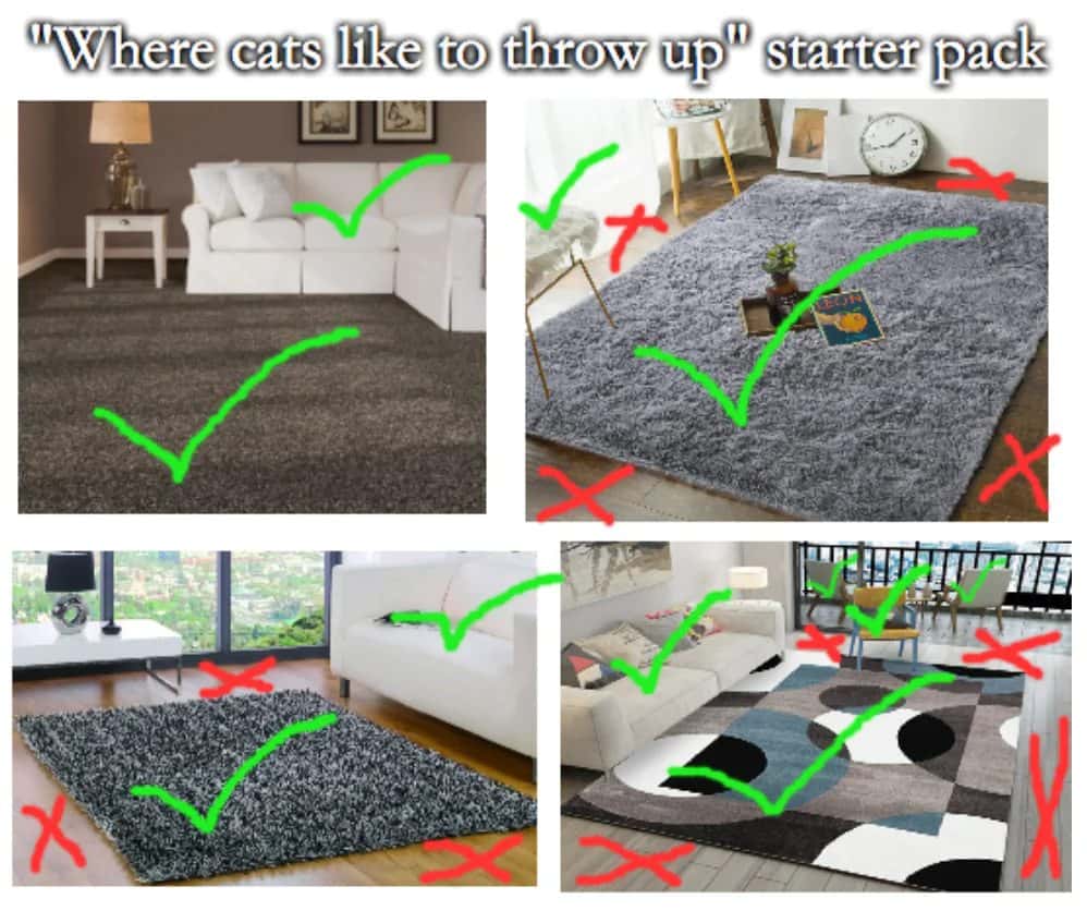 Relatable cat meme mapping all the exact spots cats always choose to throw up indoors