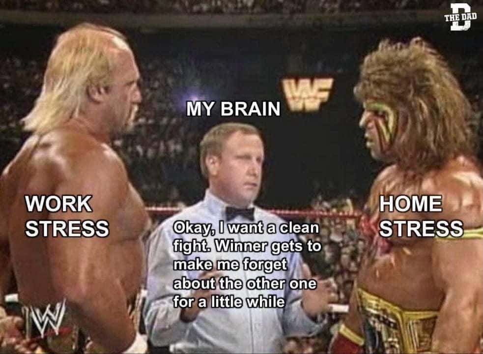 Brain meme refereeing work stress vs home stress fight