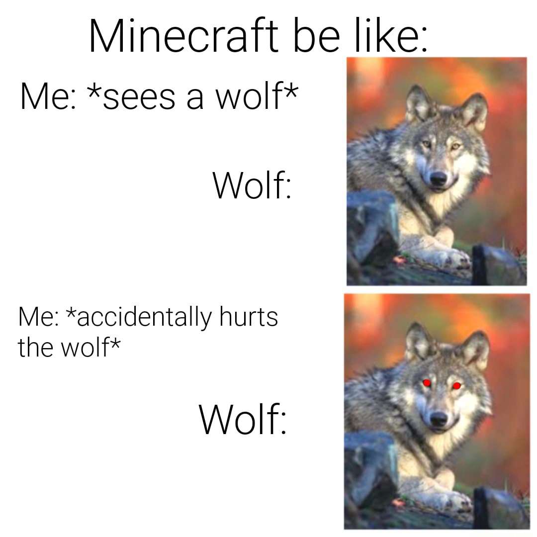 Calm to red-eyed Minecraft wolf meme turning hostile after one tiny accidental hit