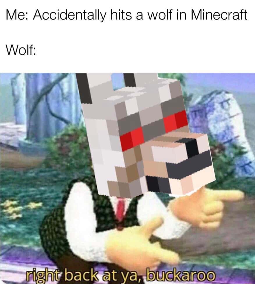 Sassy Minecraft wolf meme pointing both fingers right back at you