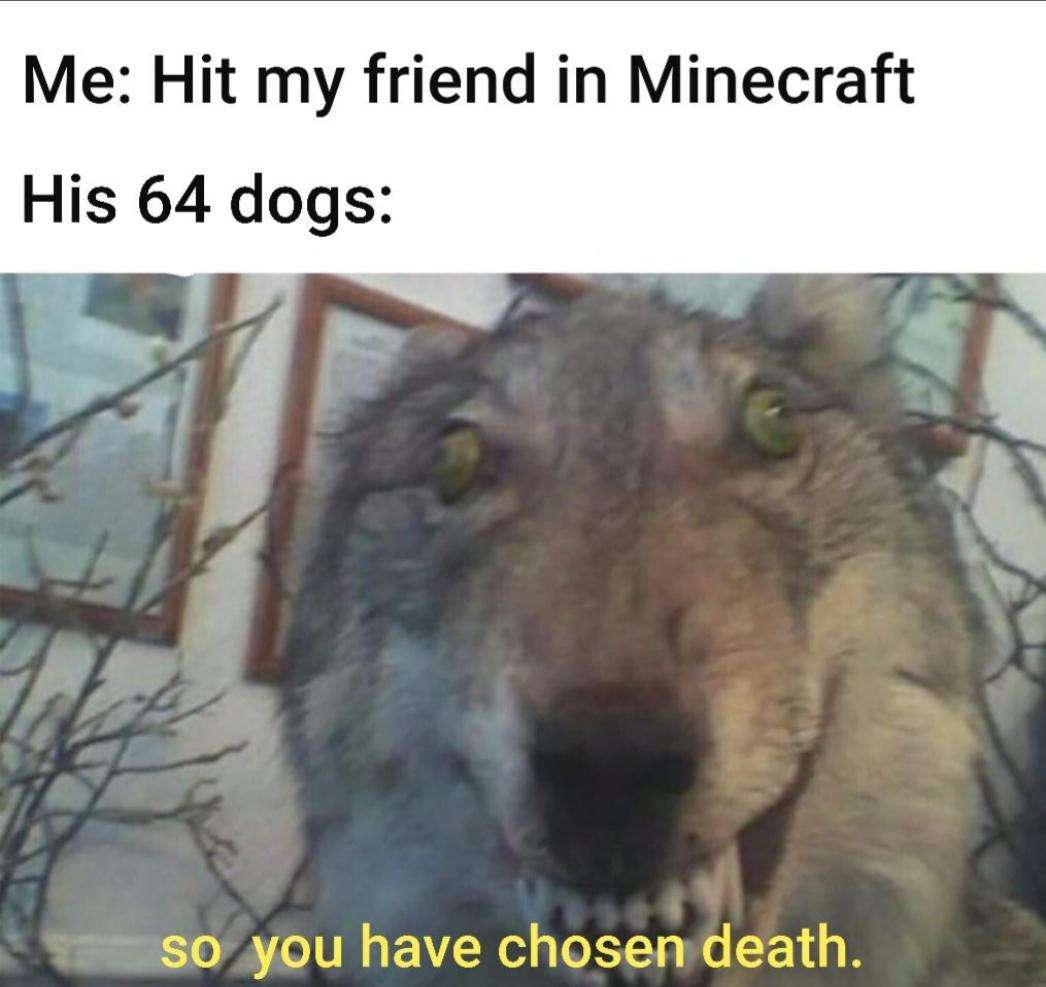 Menacing uncanny wolf meme coming after you for hitting its Minecraft owner