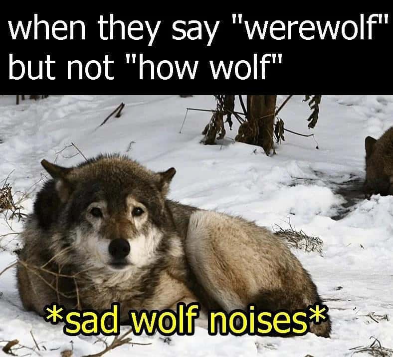 Sad dejected wolf meme making soft sad wolf noises over a dumb word pun