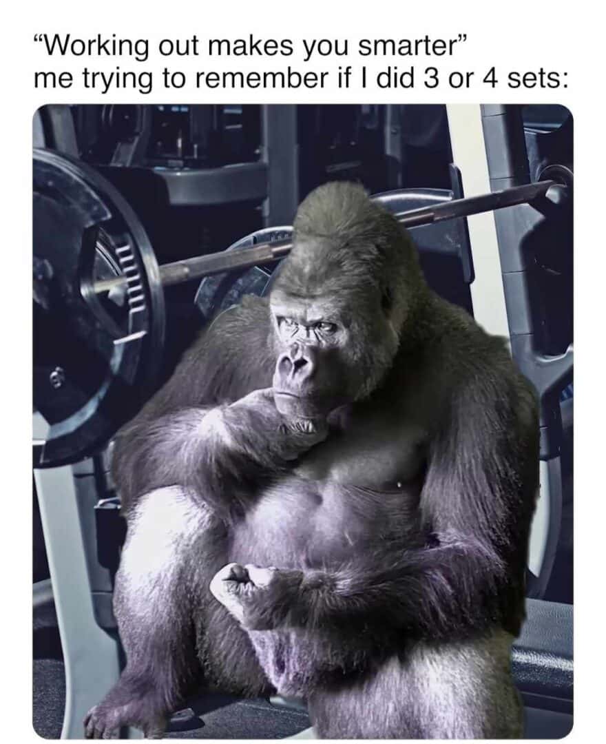Gorilla meme confused trying to remember if he did 3 or 4 workout sets
