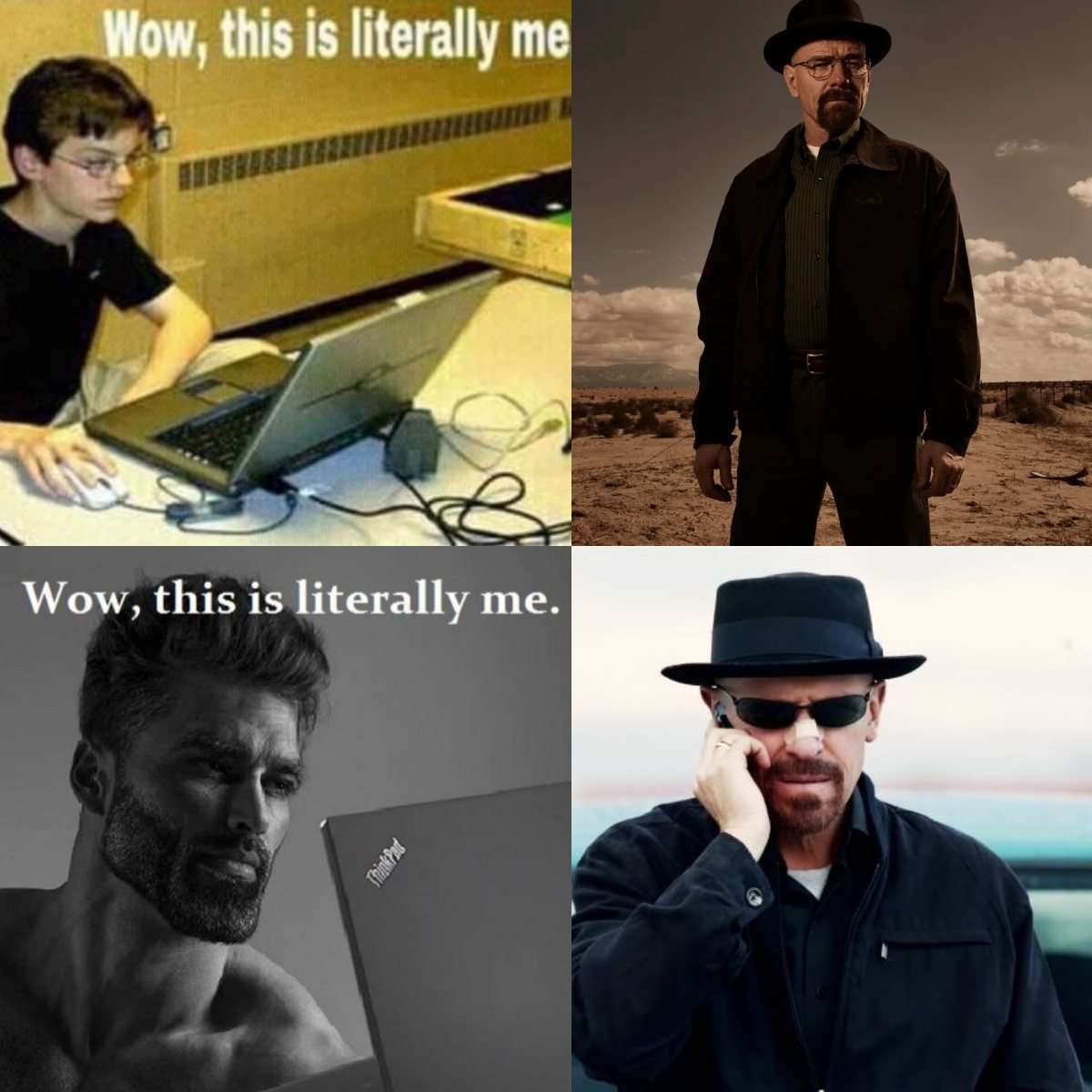 Walter white meme showing full character evolution as literally me