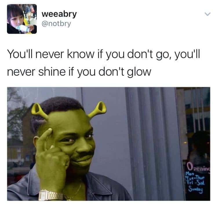 You can't if you don't meme with shrek green guy pointing at head