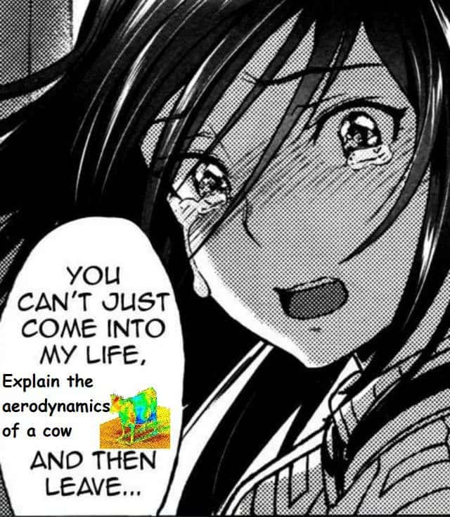Anime girl meme sad at cow aerodynamics