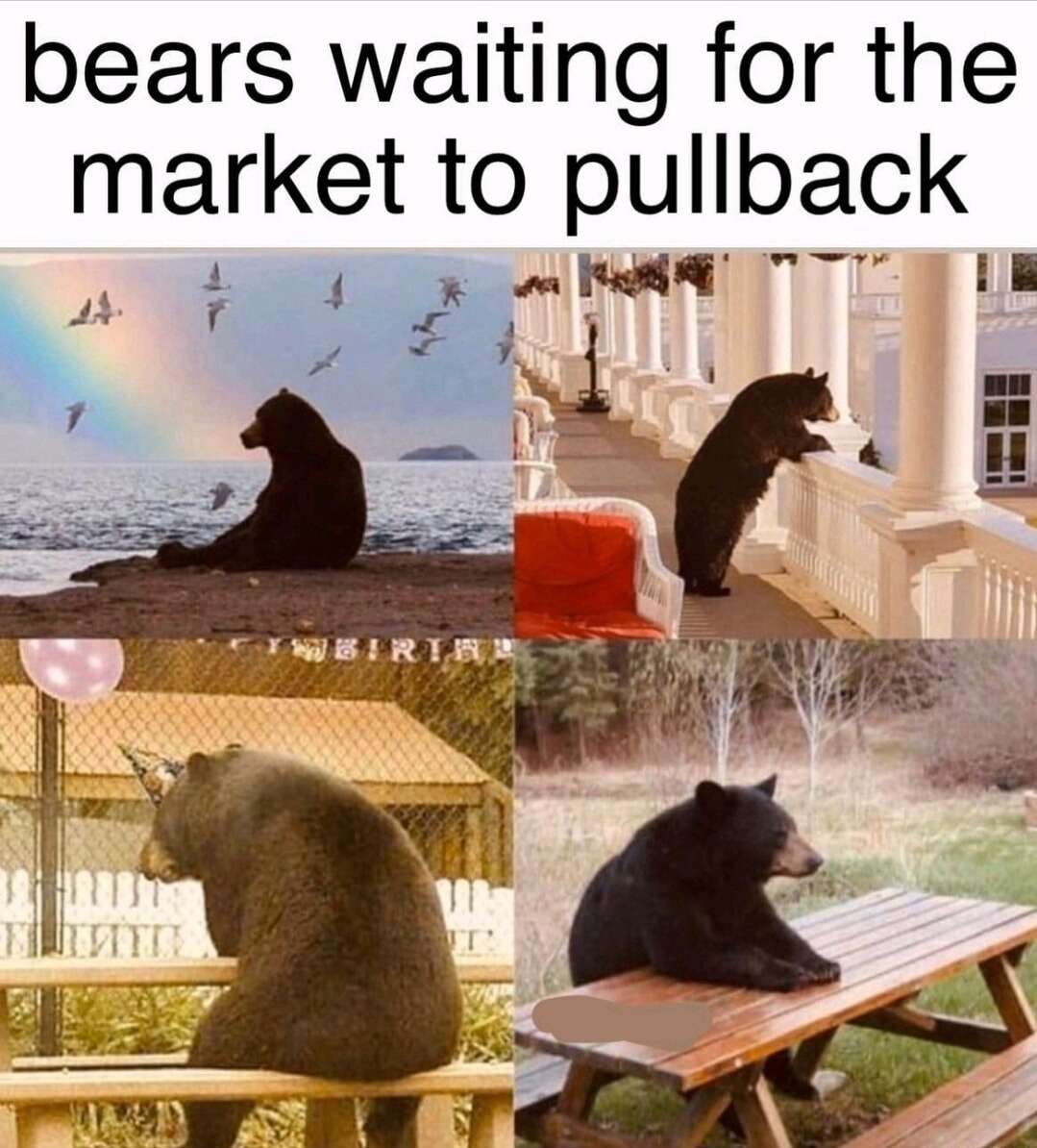 Bear waiting meme bears patiently waiting for stock market pullback