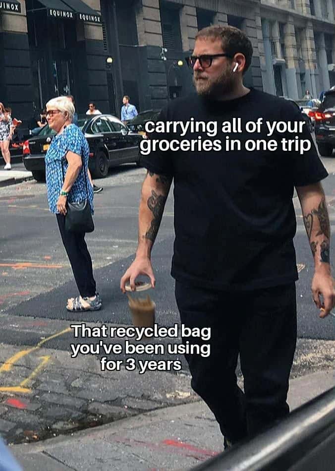 Carrying all groceries in one trip meme straining 3-year-old recycled bag