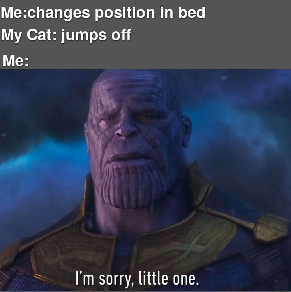 Thanos meme apologizing after changing position in bed makes cat jump off