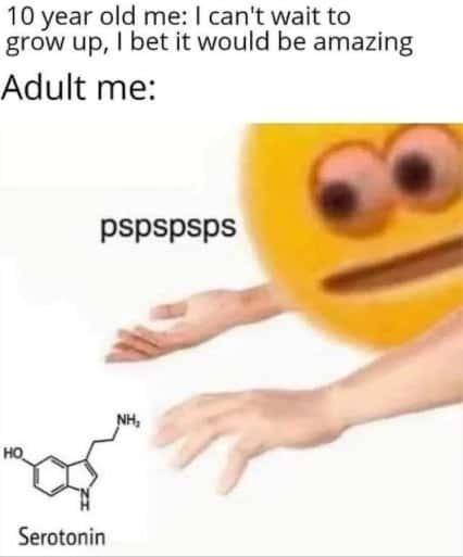 Cursed emoji meme craving serotonin as an adult