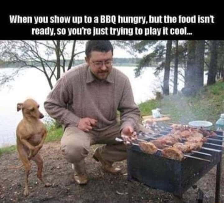 Dog waiting for BBQ meme hungry dog pretending calm beside grill