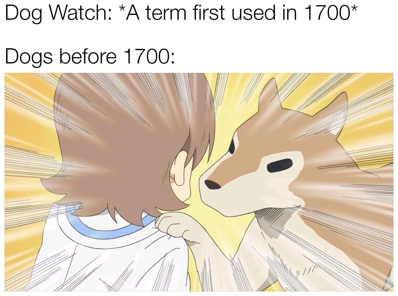 Dog watch meme staring at man before 1700