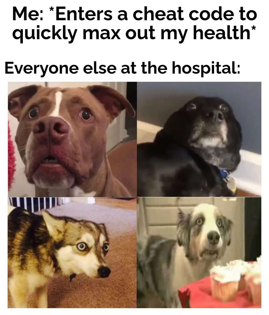 Shocked hospital dogs meme react to max health cheat code
