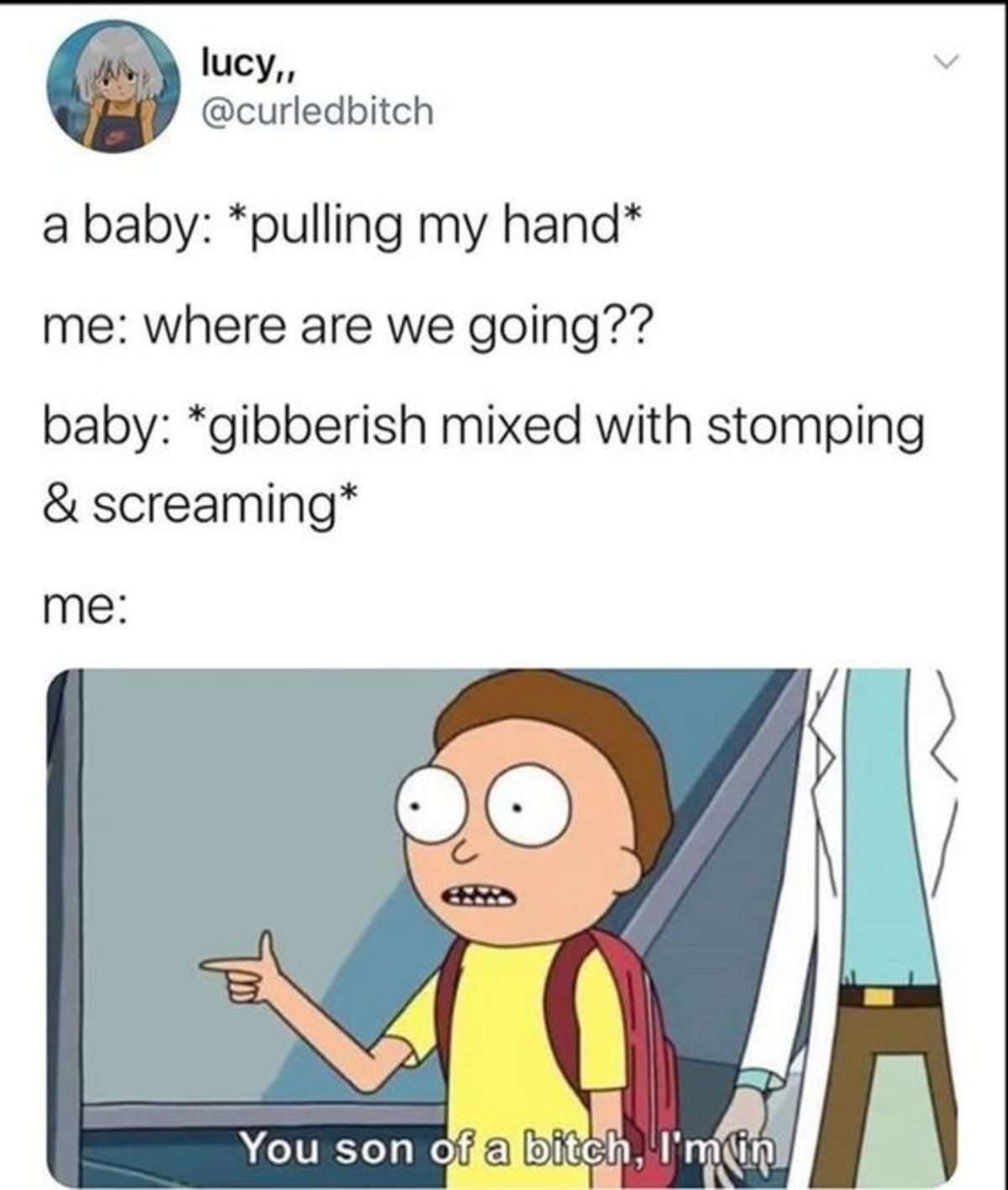 Morty meme agreeing to join baby's chaotic unplanned adventure