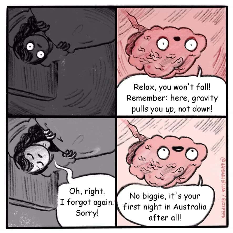 Brain meme telling upside down person gravity pulls up first night in Australia
