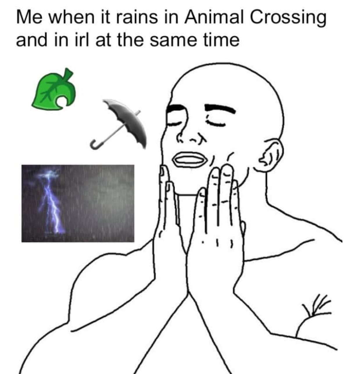 Hands on face meme celebrating rain sync in animal crossing and irl