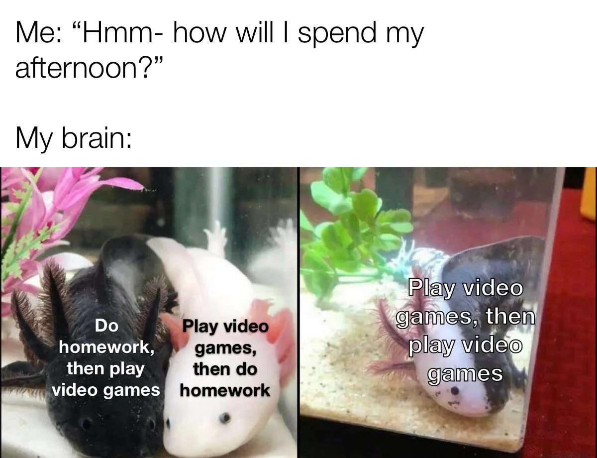 Axolotl meme choosing to play video games all afternoon