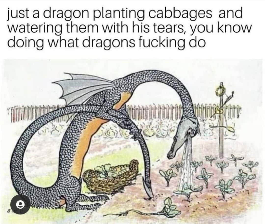 Dragon meme planting cabbages watering with tears