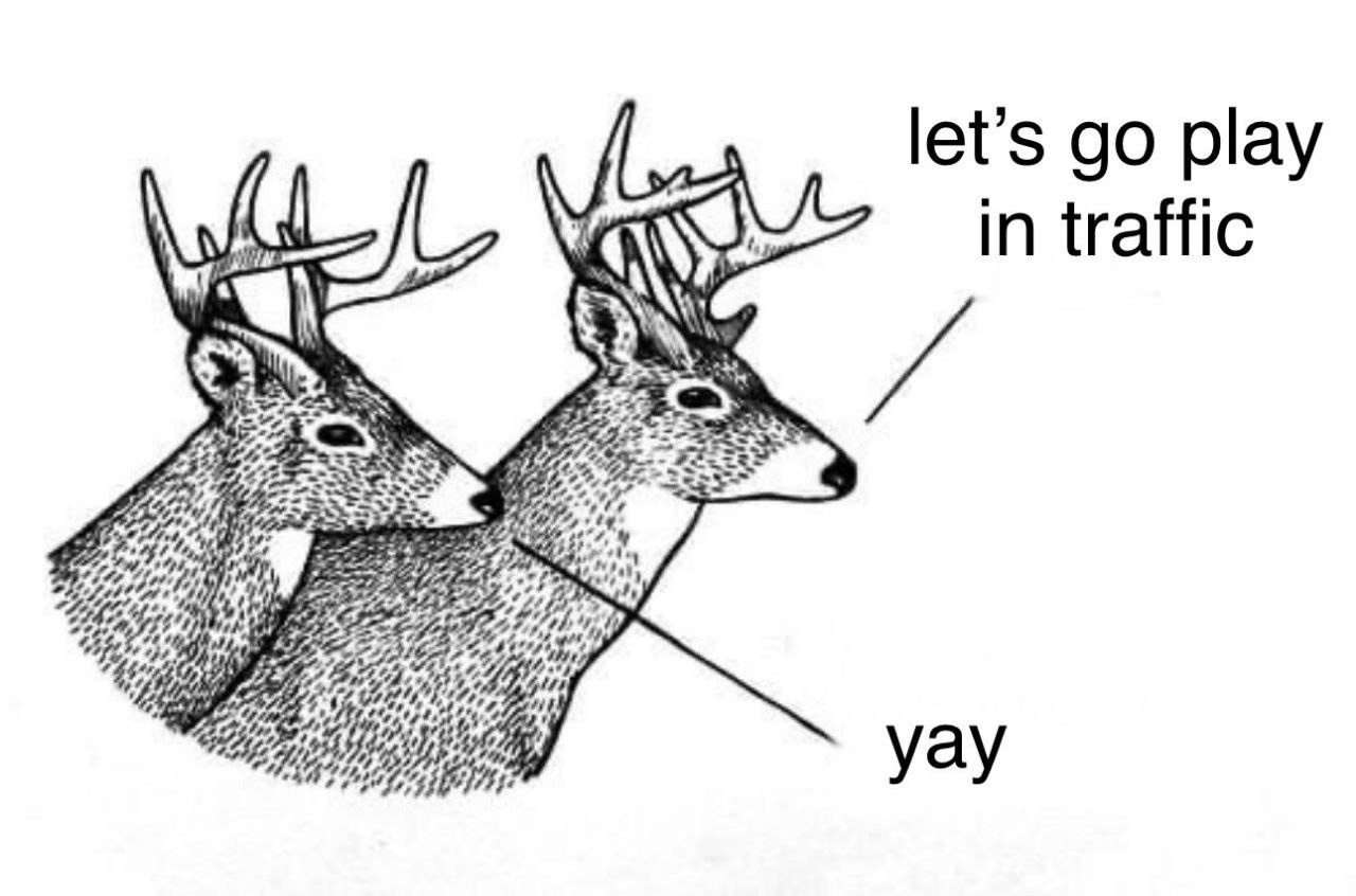 Two headed deer meme suggesting to go play in traffic and excitedly says yay
