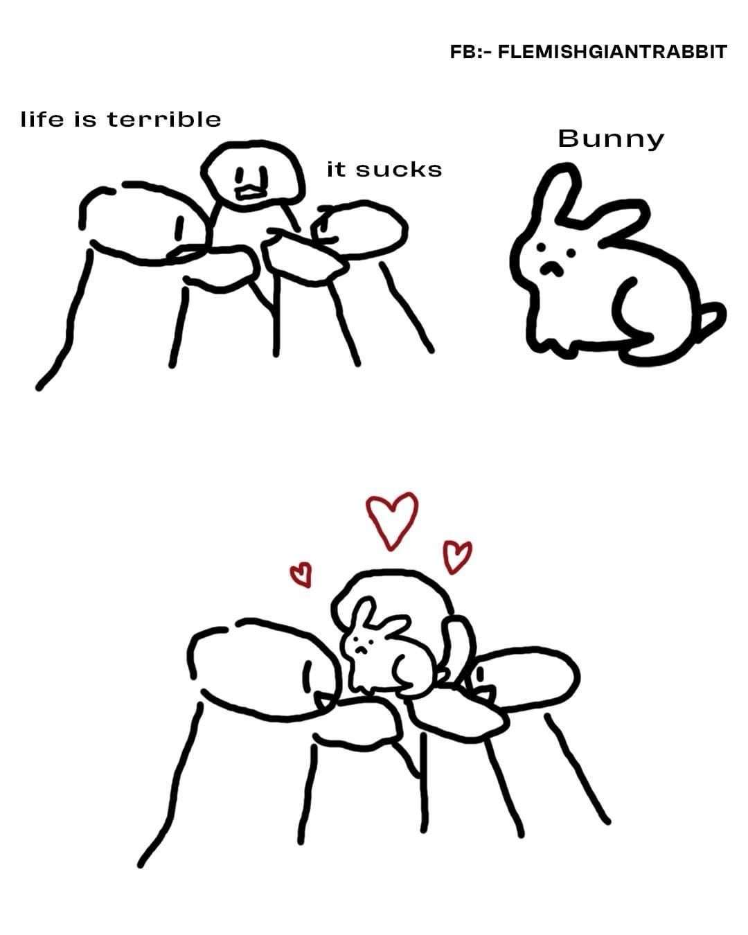 Bunny meme comforting sad friends complaining life is terrible