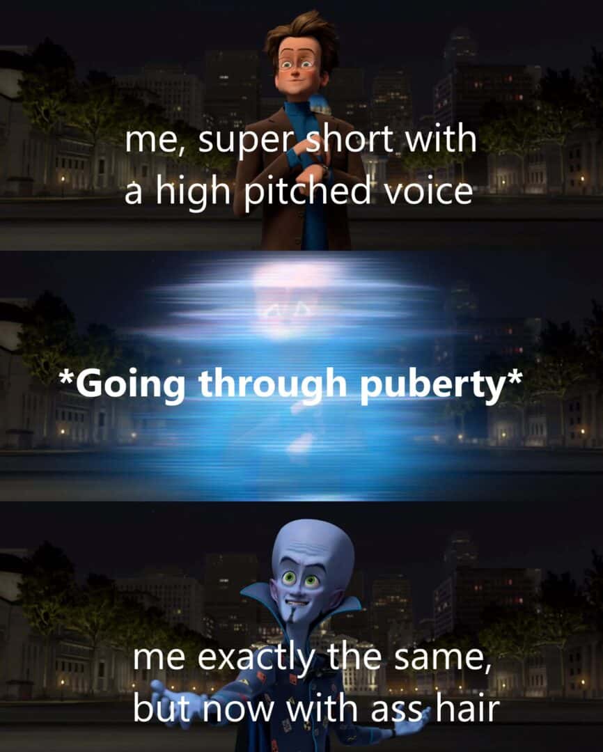 Megamind meme going through puberty no height or voice change only ass hair