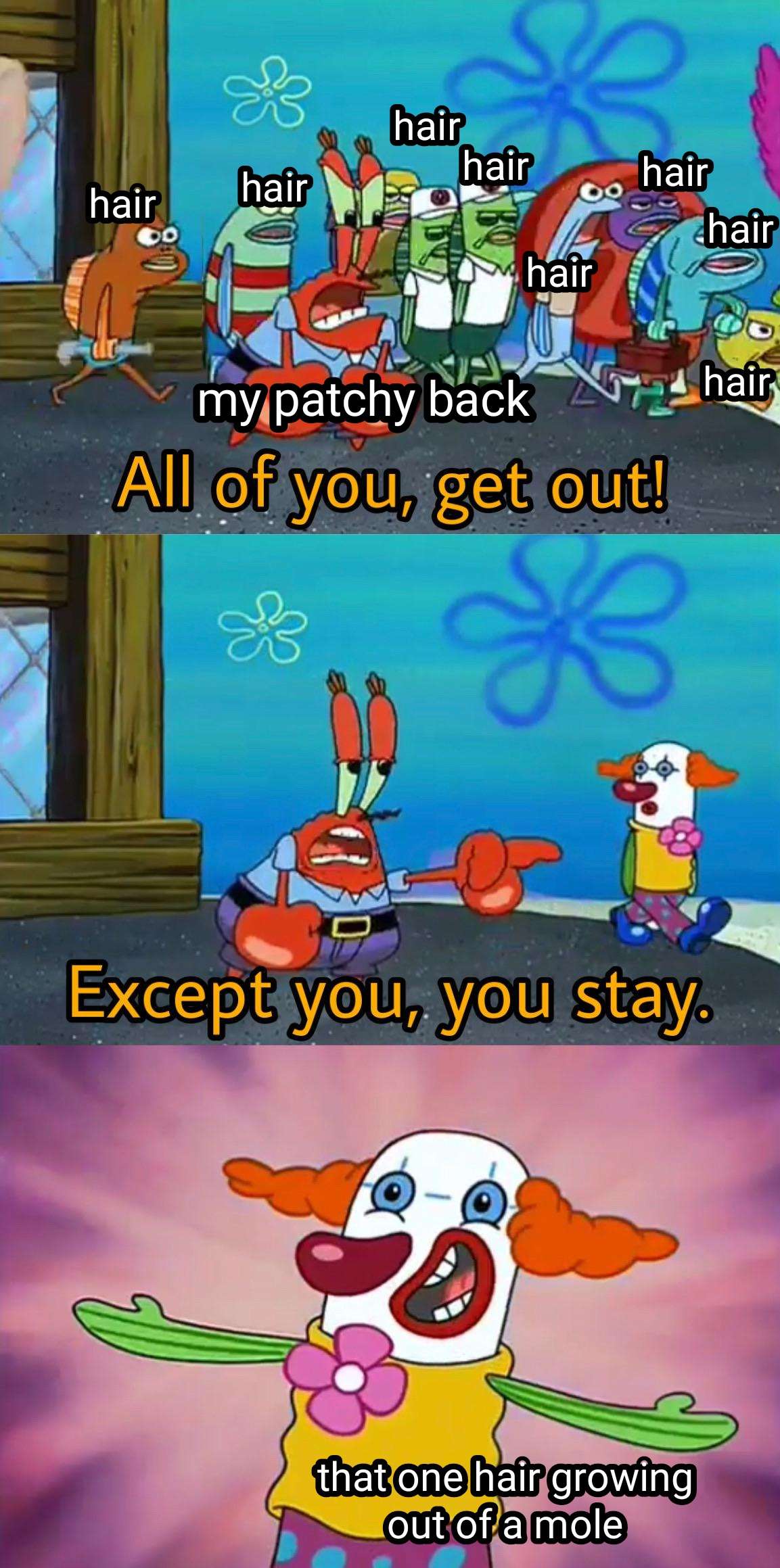 Mr krabs clown meme hate body hair but keep mole single hair