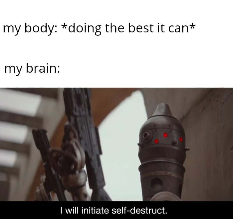 Robot meme initiate self destruct when body tries best