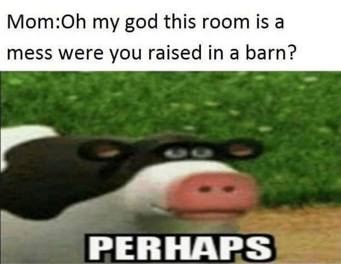 Cow meme replies to mom raised in barn