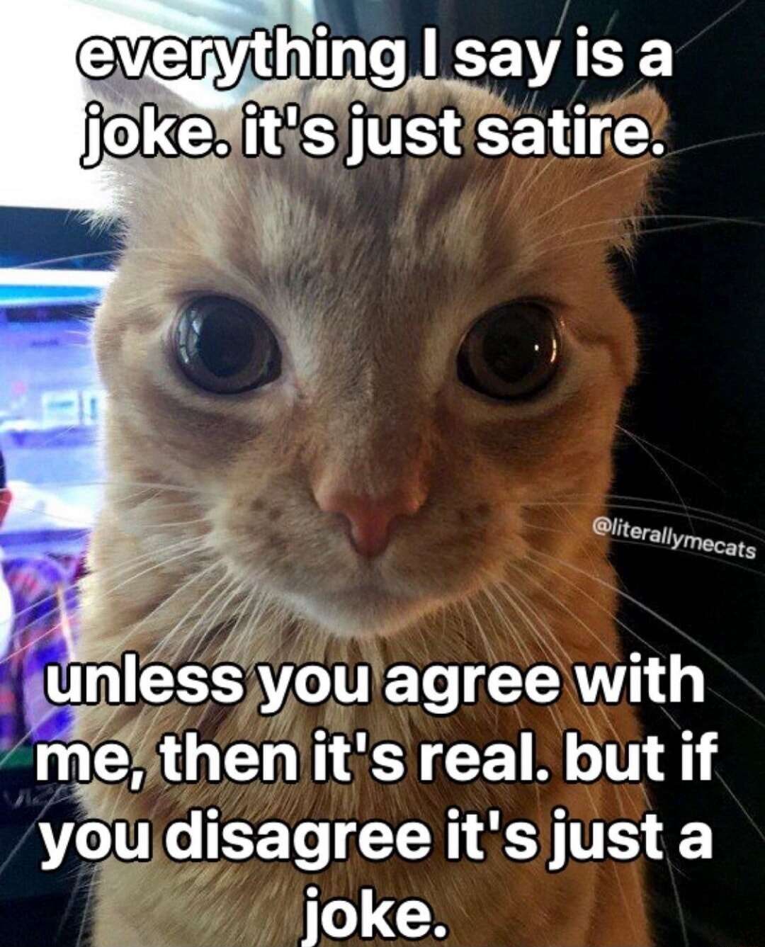 Orange cat staring meme says jokes are real if you agree