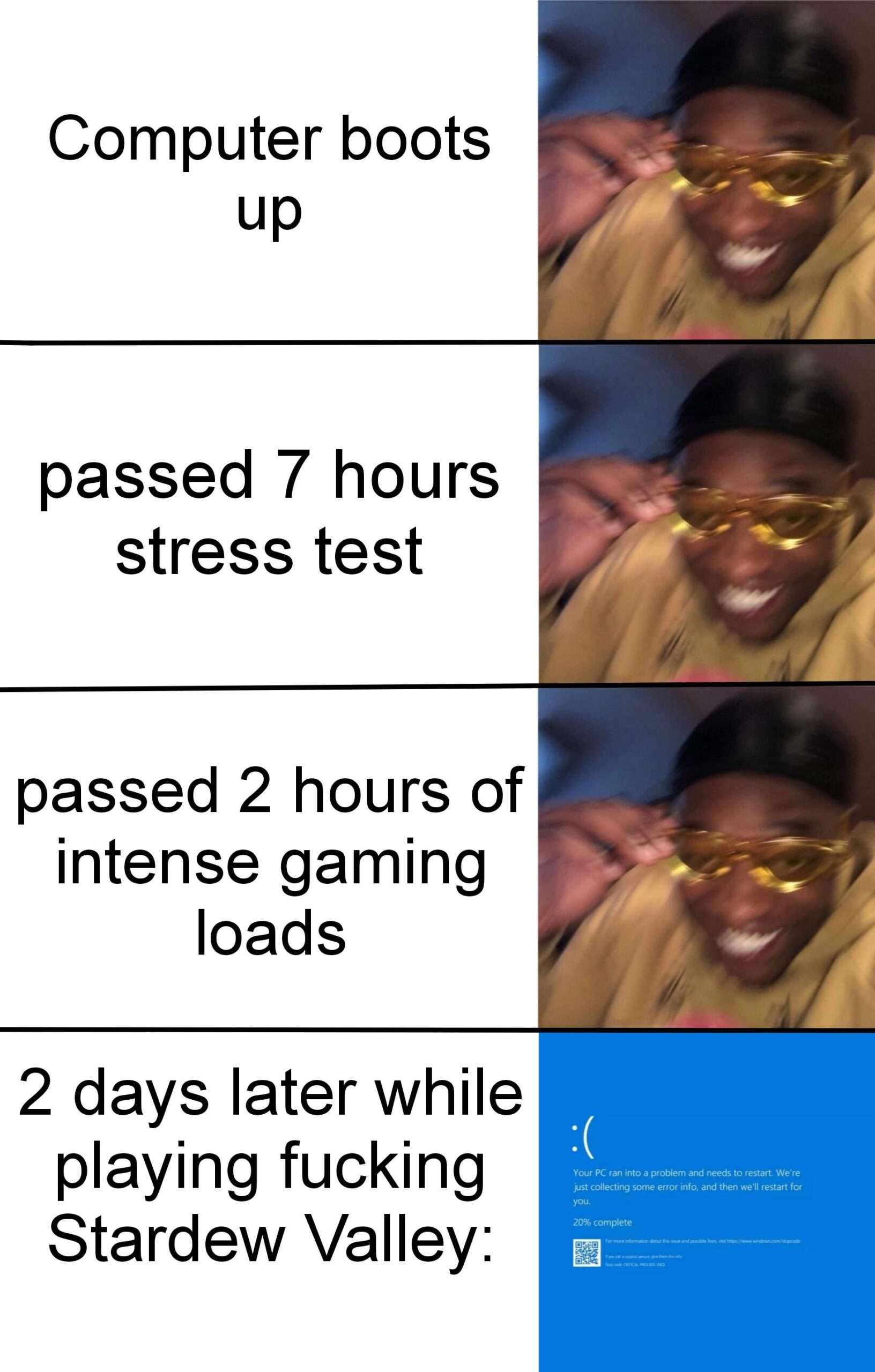 PC meme blue screens playing stardew valley after stress tests