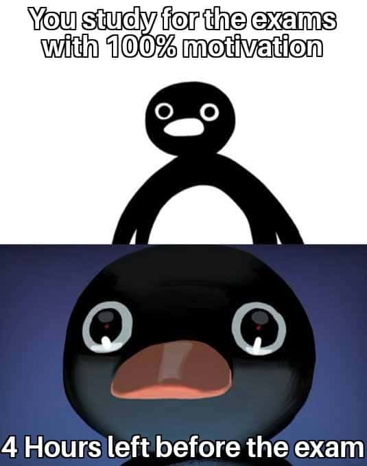Pingu stare meme exam panic with few hours remaining
