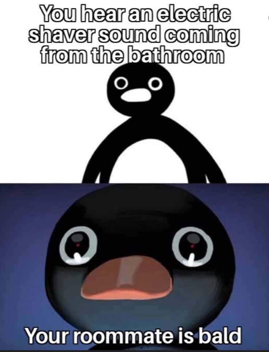 Pingu stare meme roommate electric shaver bald secret shock