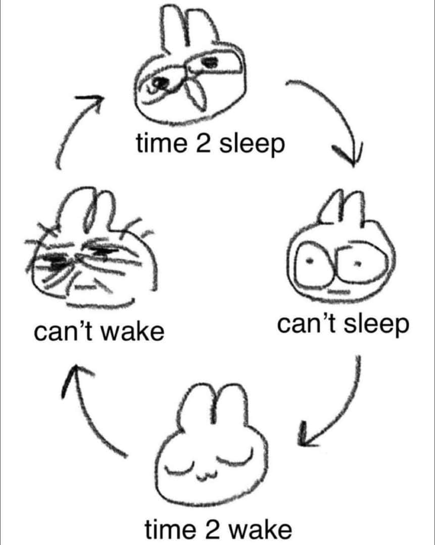 Sleep cycle bunny meme stuck in can't sleep can't wake