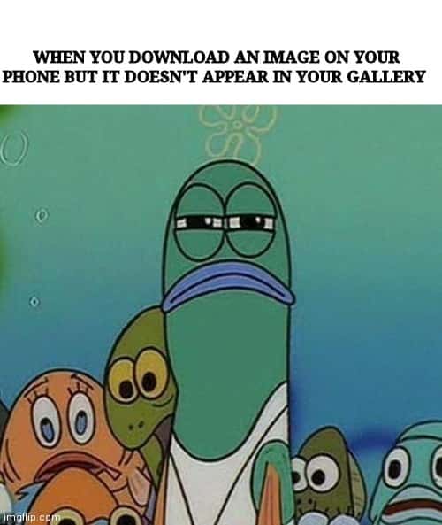 Spongebob fish stare meme frustrated missing downloaded phone picture