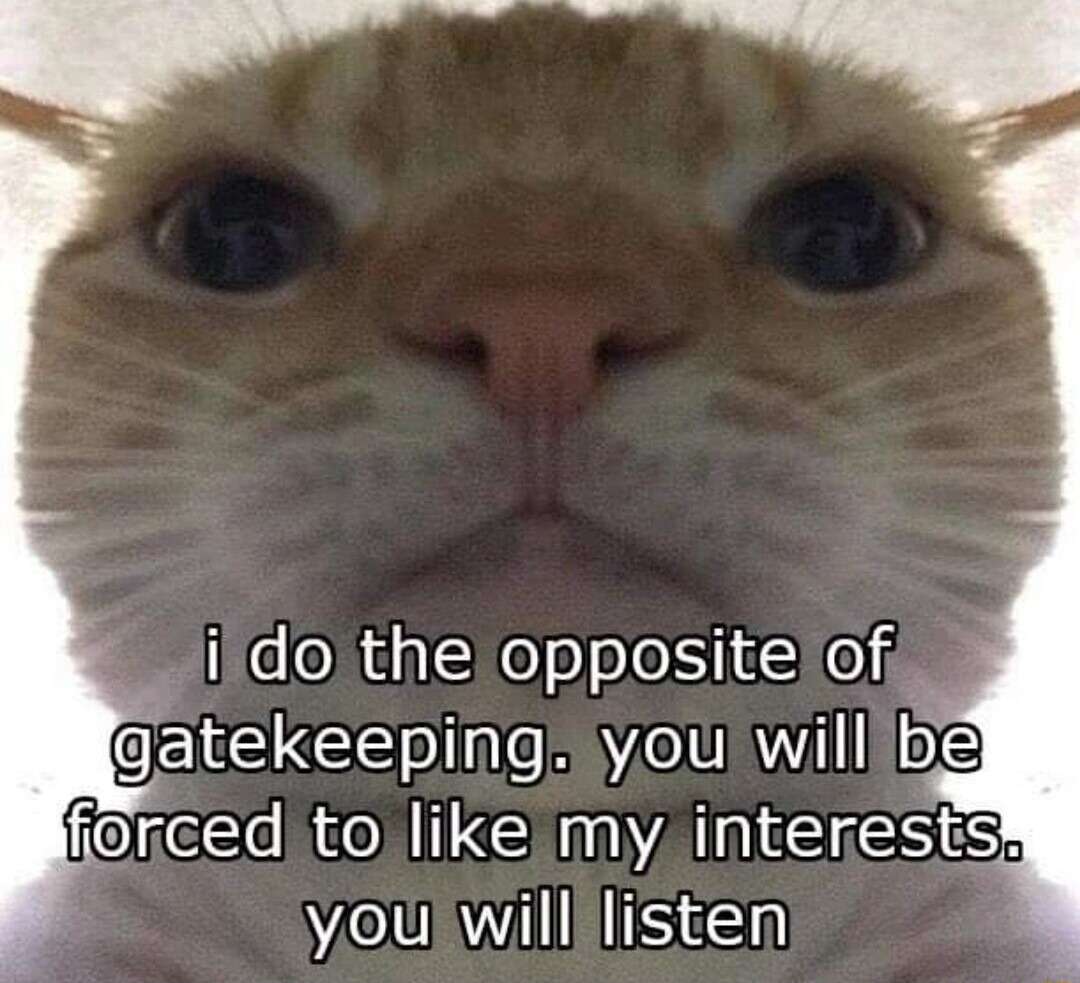 Staring cat meme reverse gatekeeping forcing others to share hobbies