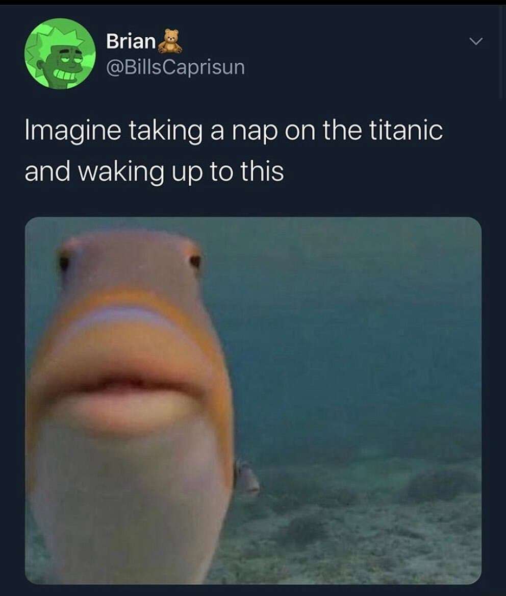 Staring fish meme titanic nap wake up underwater shock