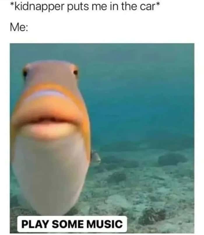 Staring fish meme unbothered asking kidnapper to play music