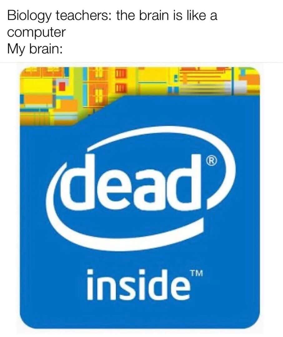 Dead inside intel meme shows my brain is dead when biology teacher says brain is like a computer