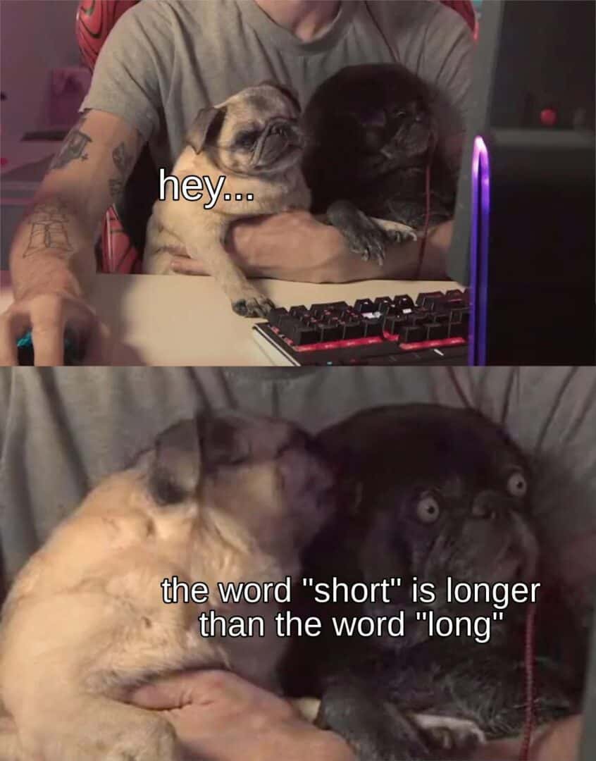 Two pugs meme shocked by word fact