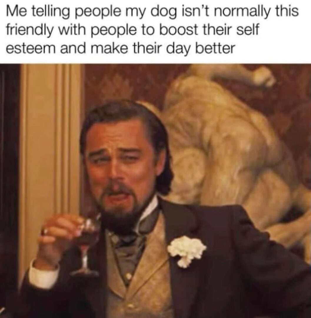 Leonardo dicaprio meme telling people his dog isn't normally friendly to boost their self esteem